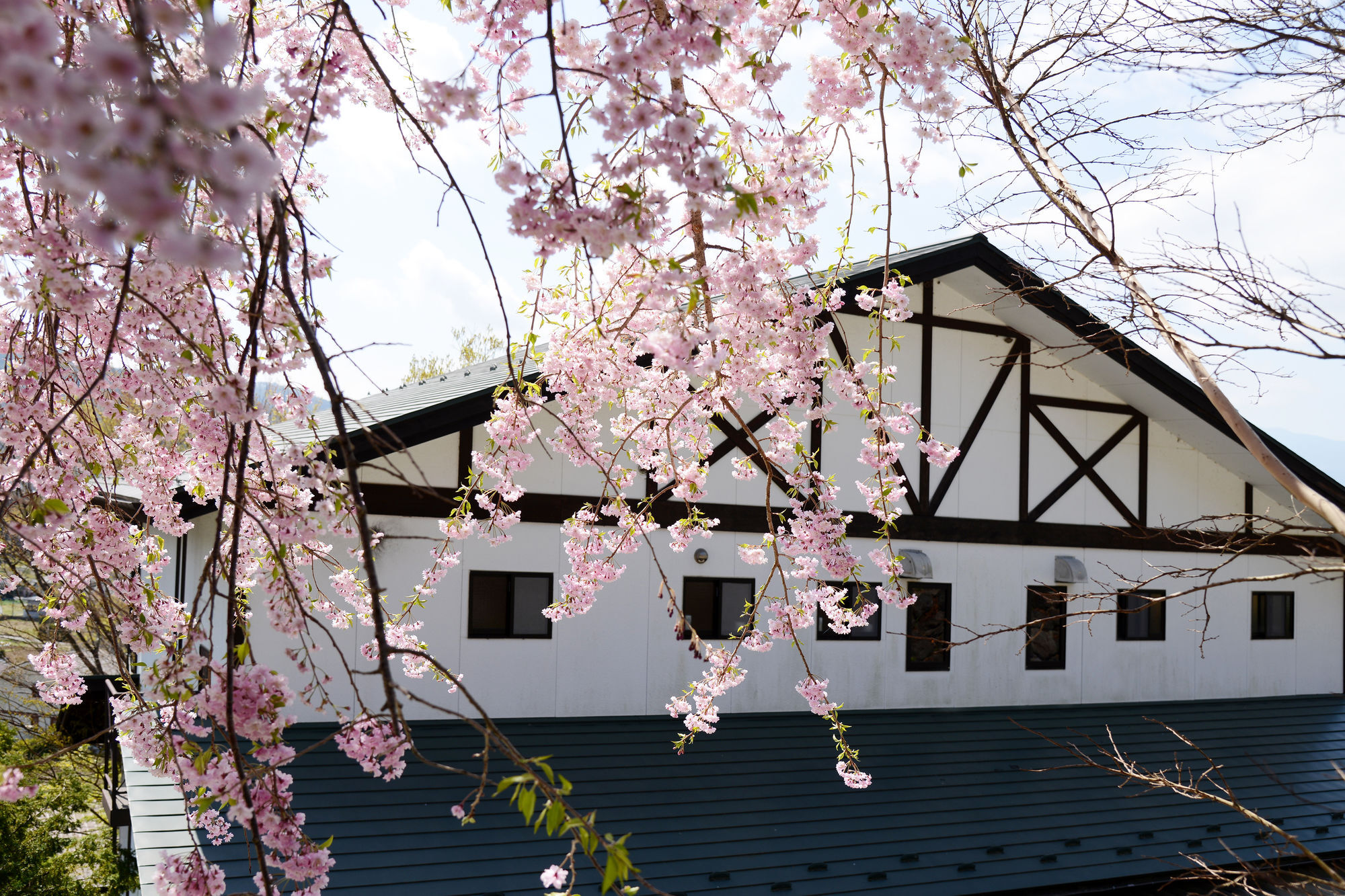 Kawaguchiko Country Cottage Ban Фуджикавагучико Екстериор снимка